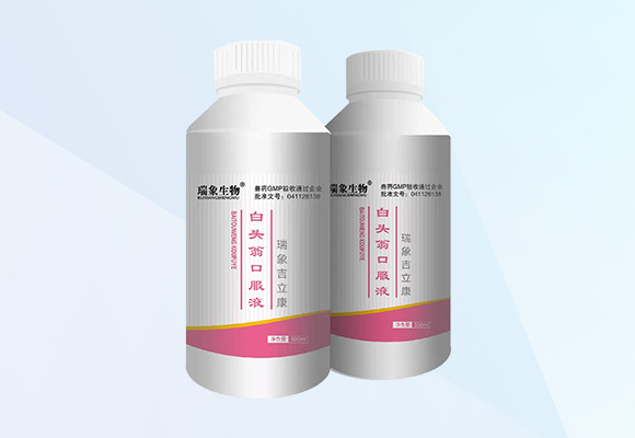 �ŵ�88(�й���)�ٷ���վ