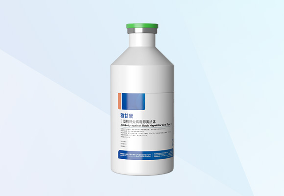 �ŵ�88(�й���)�ٷ���վ