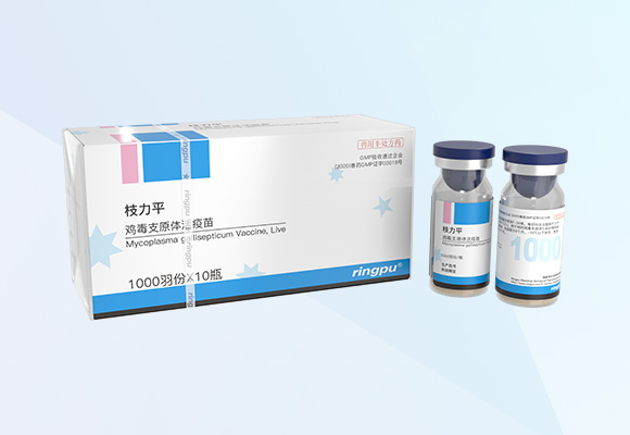 �ŵ�88(�й���)�ٷ���վ