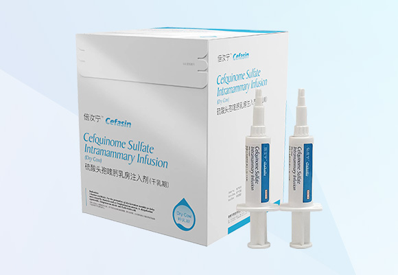 �ŵ�88(�й���)�ٷ���վ