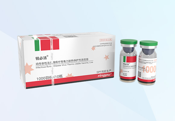 �ŵ�88(�й���)�ٷ���վ