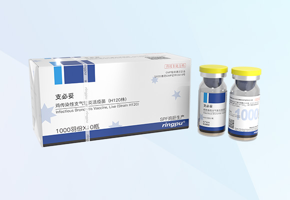 �ŵ�88(�й���)�ٷ���վ