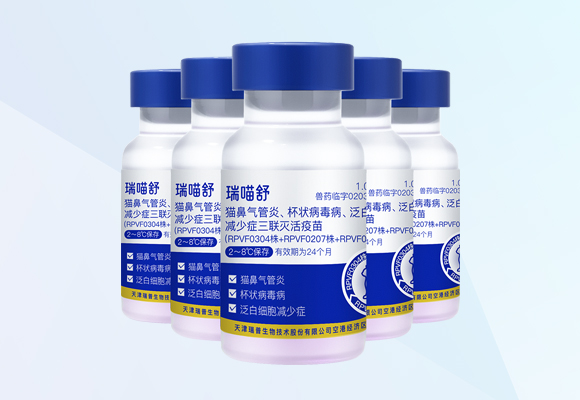 �ŵ�88(�й���)�ٷ���վ